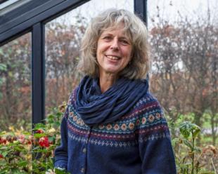 Bikkels voor een wadi: 7 sterke planten die alles aankunnen