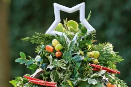 Minikerstboompje voor buiten