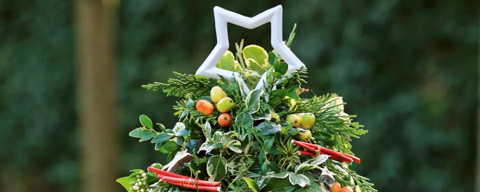 Afbeelding Minikerstboompje voor buiten