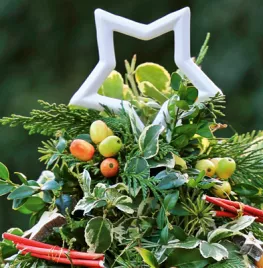 Minikerstboompje voor buiten