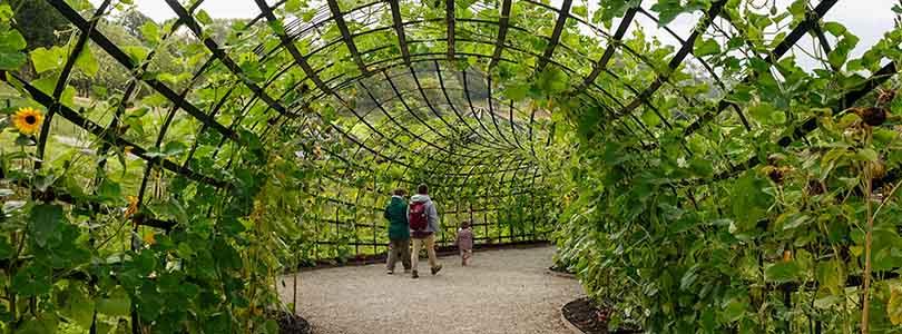 Ga mee op tuinenreis!