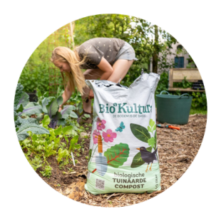 Moestuinchallenge 2026 ‘Trakteer een lunch’