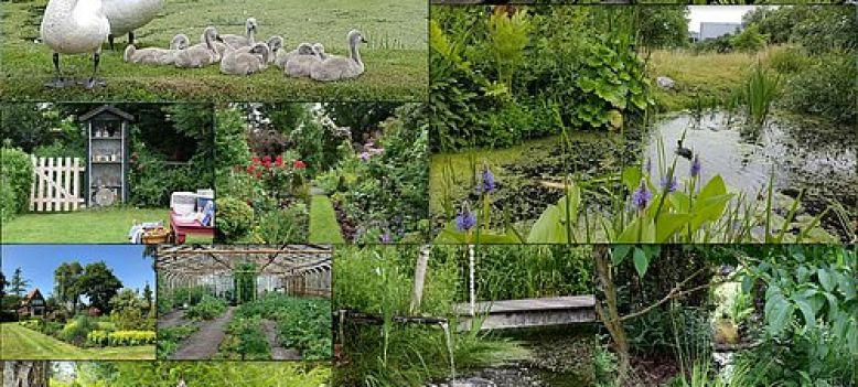 Ontdek de kleine en grote siertuinen in Aalsmeer