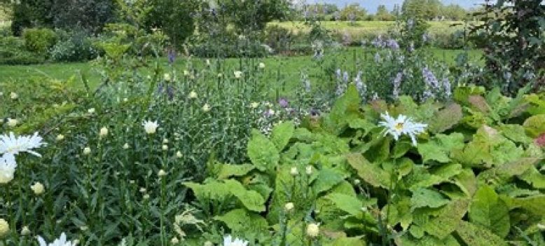Neem een kijkje bij de open tuinen in de Hoeksche Waard