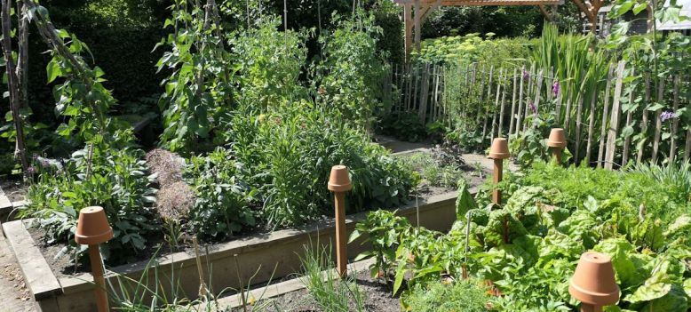 Ontdek de open tuinen in Walcheren en de Bevelanden