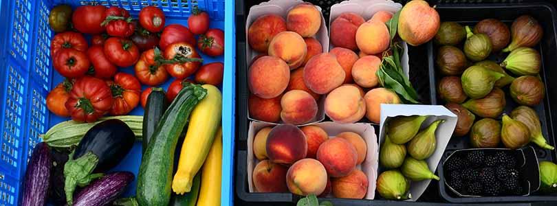 De moestuin in juli: oogsten, verzorgen en vooruitdenken