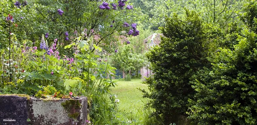 Ruim eens wat minder op