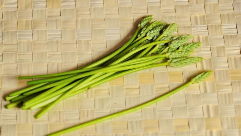 Bosasperge: een bijzondere bolplant die je ook kunt eten