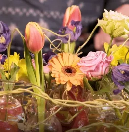Kleurexplosie en vreemde vormen (video)