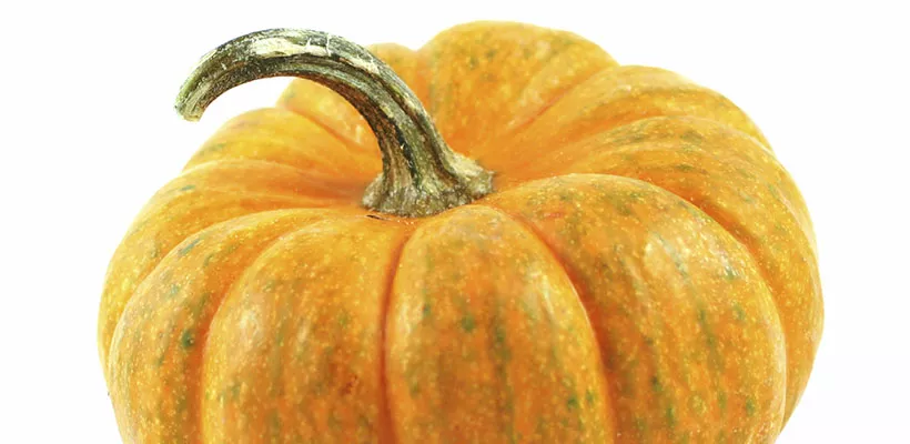 Rijpe pompoen