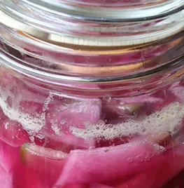 Radijzen fermenteren (recept)