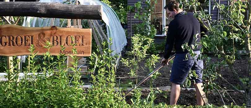 De Moestuin in juni: Zaaien, Oogsten en Genieten