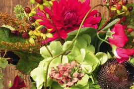 Uit de Septembertuin