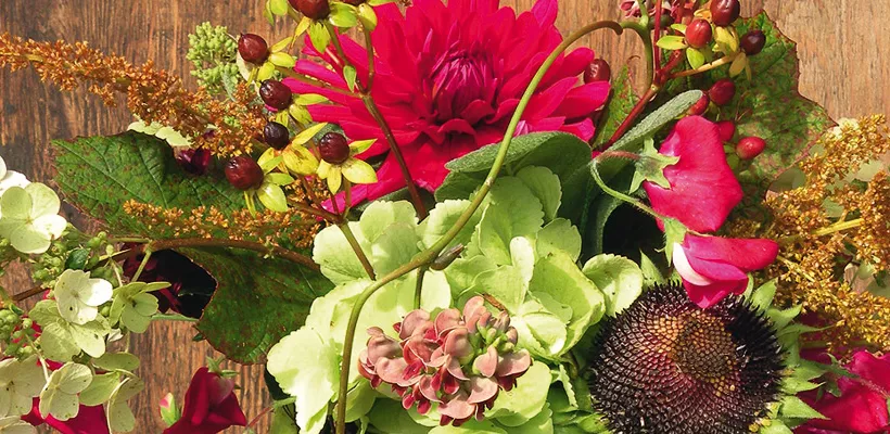 Uit de Septembertuin