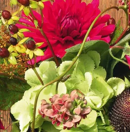 Uit de Septembertuin