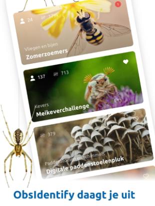 Groei & Bloei Bioblitz 2026: ontdek de biodiversiteit in je eigen tuin