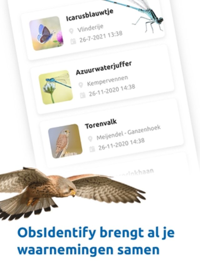 Groei & Bloei Bioblitz 2026: ontdek de biodiversiteit in je eigen tuin