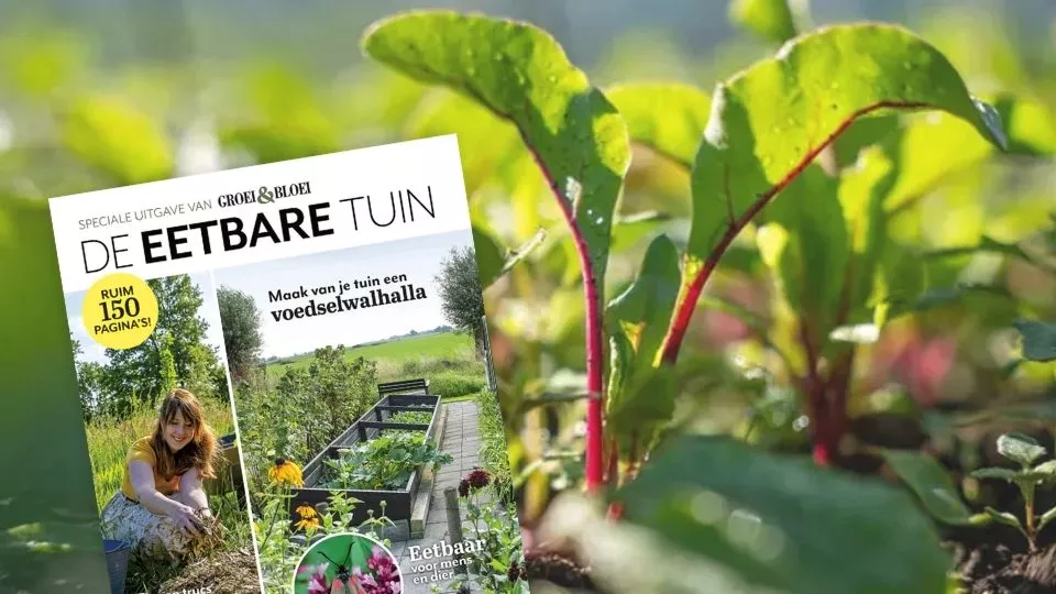 Afbeelding Special De eetbare tuin: over moestuinieren in elke tuin