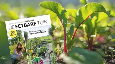 Special De eetbare tuin: over moestuinieren in elke tuin