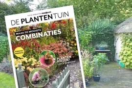 Special De Plantentuin: borderplannen en planten voor elke tuin