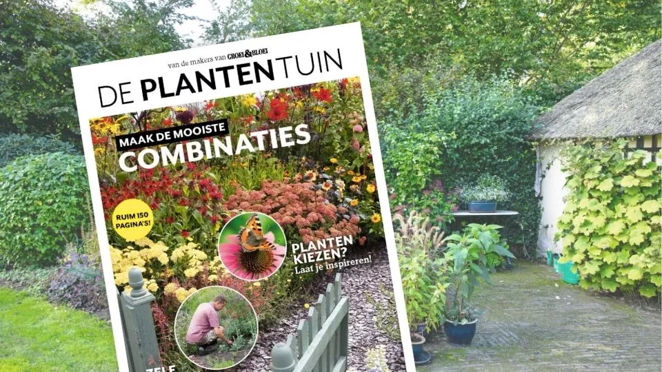 Afbeelding Special De Plantentuin: borderplannen en planten voor elke tuin