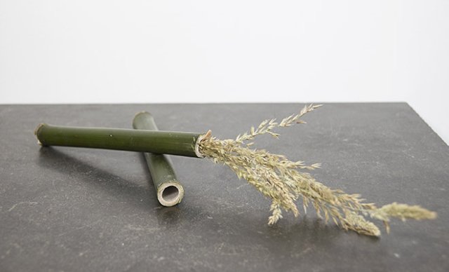 Pioenen en parels DIY