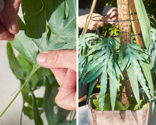 Alternatieve kerstboom 1: wél zelf de slingers ophangen!