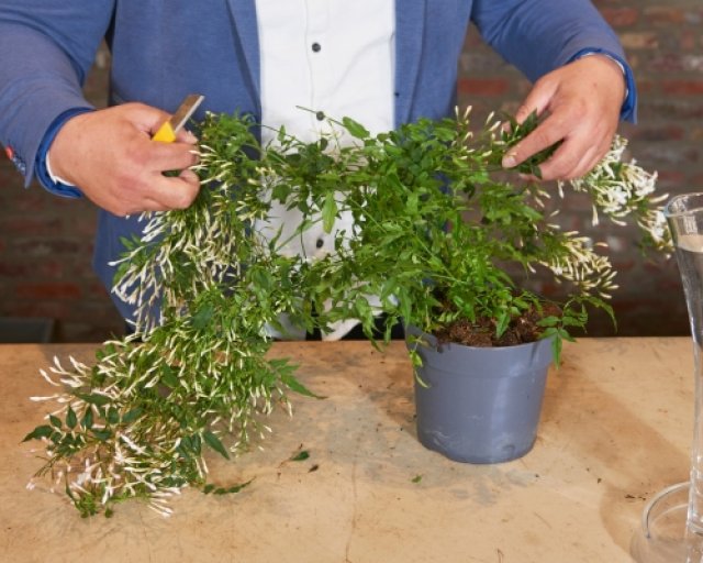 Zelf maken: speelse lenteschikking met voorjaarsbloeiers