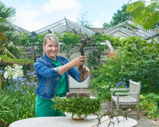 Zomer in zicht: maak zelf een zonnig bloemstuk