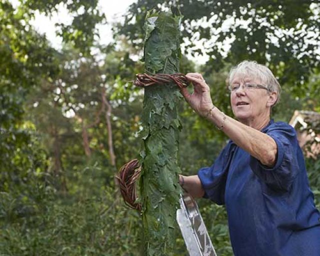 Alternatieve kerstboom 2: samen voor een natuurlijke boom