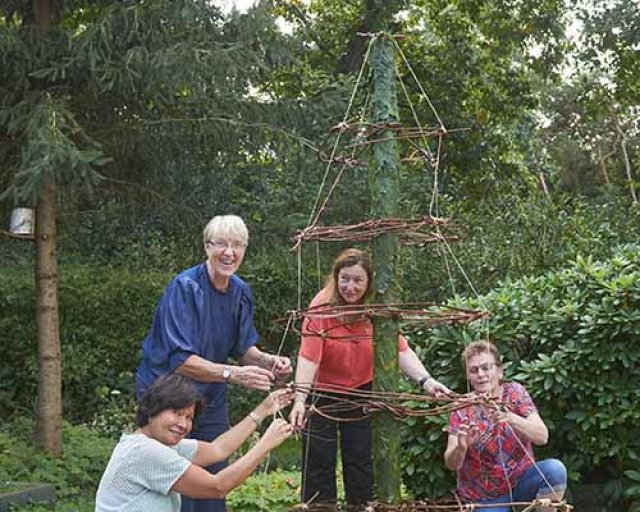 Alternatieve kerstboom 2: samen voor een natuurlijke boom