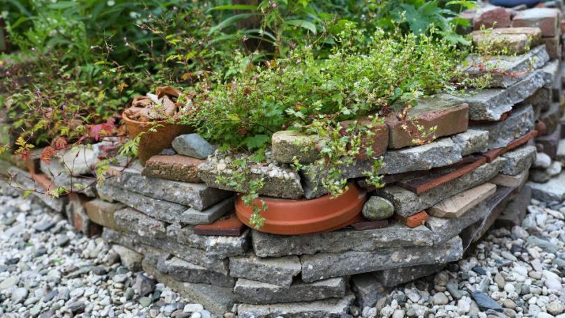 Zo transformeerde Katja in 1,5 jaar tijd haar saaie tuin in een levendige dwaaltuin