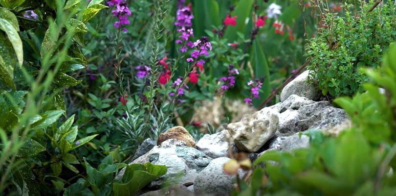 G&B OpentuinTV: Tuin van Mercedes Docter in Heiloo