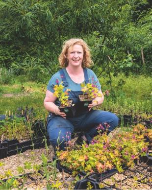 Spontane planten: kijk eens wat er vanzelf in je tuin groeit