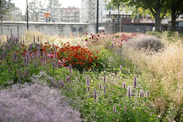 Zorg voor minder tegels in de tuin