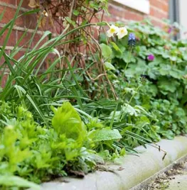 Zorg voor minder tegels in de tuin