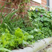 Zorg voor minder tegels in de tuin