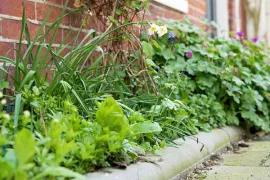 Zorg voor minder tegels in de tuin