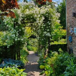 Bekijk de open tuinen in Zuid-Limburg