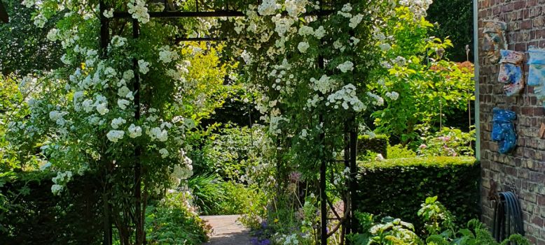 Bekijk de open tuinen in Zuid-Limburg
