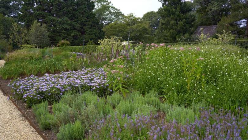 Piet Oudolf (81) is niet te stoppen: nieuwe tuin geopend in New York
