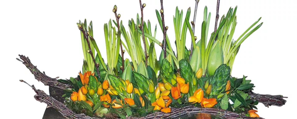 Afbeelding Tulpen in beweging
