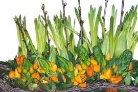 Tulpen in beweging