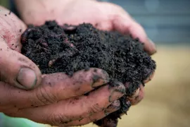 Beperk het gebruik van turf