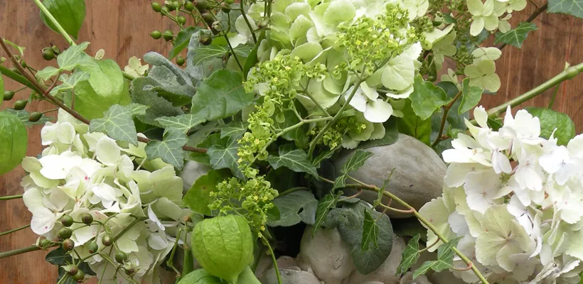 Geschikt uit eigen tuin