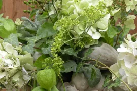 Geschikt uit eigen tuin