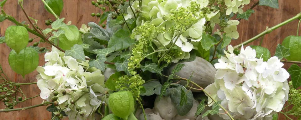 Afbeelding Geschikt uit eigen tuin