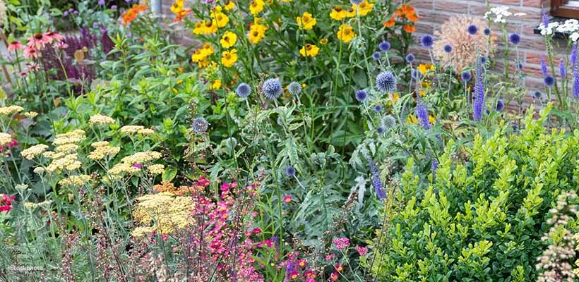 Varieer met duurzaam gekweekte planten en bomen