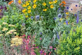 Varieer met duurzaam gekweekte planten en bomen