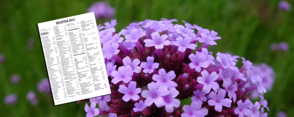 Afbeelding Register 2016